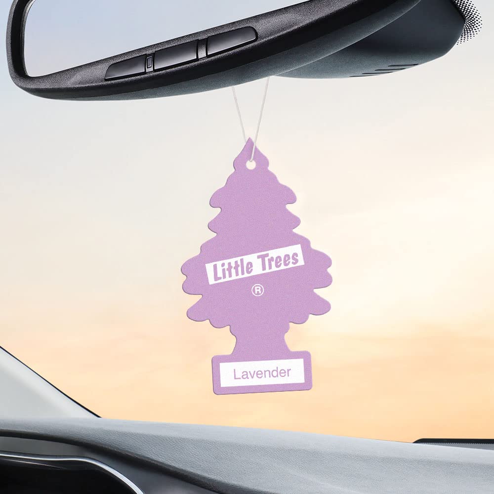 LITTLE TREES Lavender Car Air Fresheners - 24 Pack