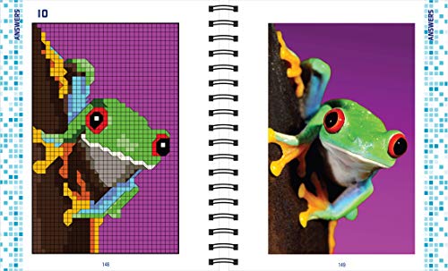 Brain Games Pixel Puzzles by Publications International
