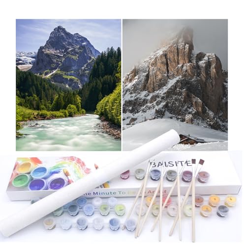 2 Pack Paint by Numbers Canvas Kit for Adults