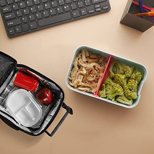 Deosk Lunch Bag Reusable Small Lunch Box for Men Insulated Portable Lunchbox for adults Suitable for School Work Picnic (Gray)