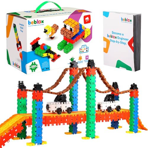 250 Piece STEM Interlocking Building Blocks Set