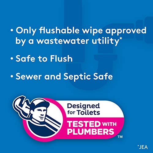 UPDATE: SOLD OUT! Cottonelle Flushable Wet Wipes - 1 Refill Pack, 168 Total Flushable Wipes