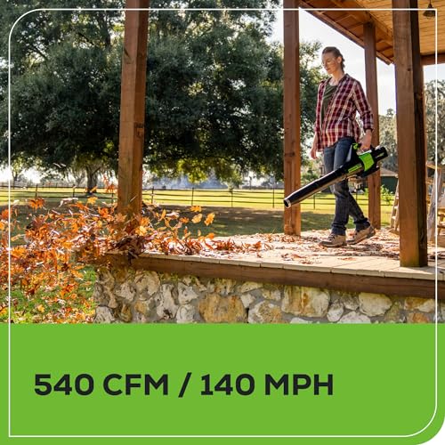 Greenworks 60V Cordless Trimmer & Blower Combo