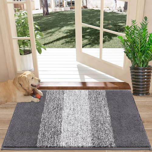 Absorbent Non Slip Indoor Doormat Rug