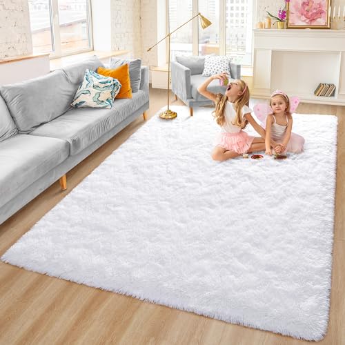 4x6 Fluffy Shag Area Rug Soft Indoor Carpet