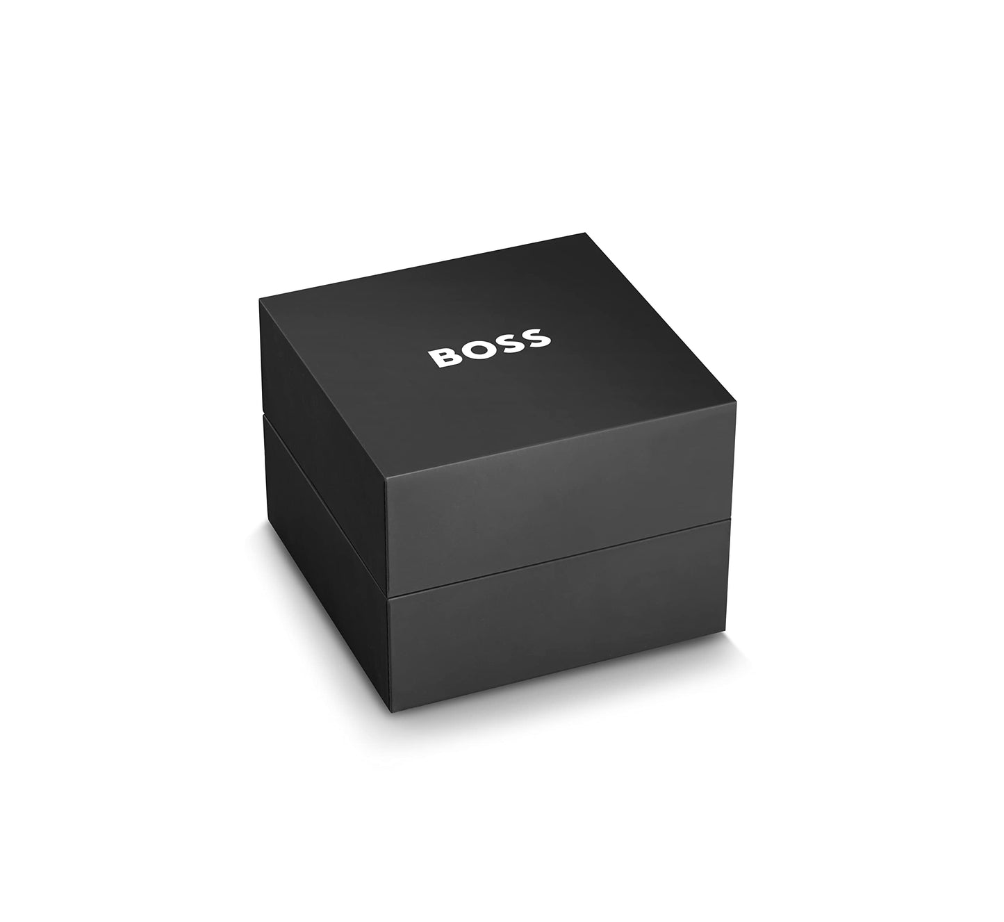 BOSS Gregor Men's Chronograph Mesh Bracelet Watch