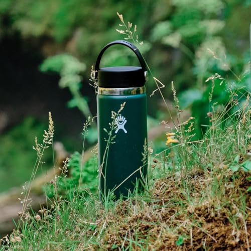 Hydro Flask Wide Flex Cap Black 20 Oz