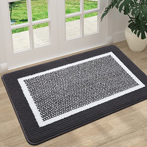 Absorbent Non-Slip Low-Profile Indoor Door Mat