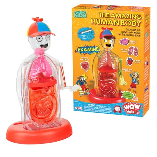Thames & Kosmos Human Anatomy Science Model Kit