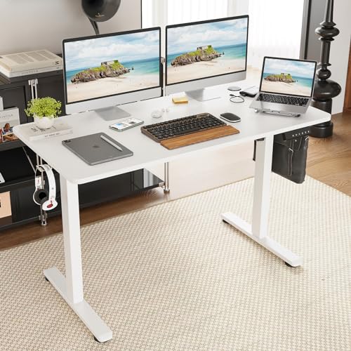 Electric Standing Desk with Memory Preset 48 x 24 Inches Sit Stand up Desk Adjustable Height Desk Home Office Computer Workstation