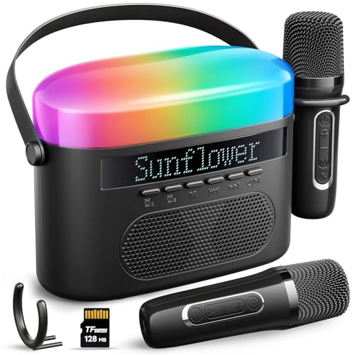 Bluetooth Karaoke Machine with 2 Wireless Microphones