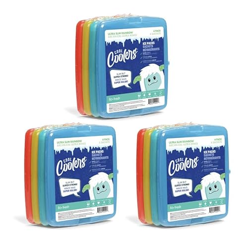 4 Pack Slim Reusable Ice Packs for Coolers