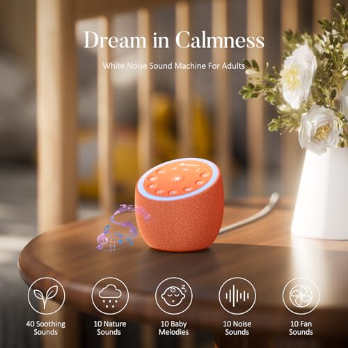 Hotmoon White Noise Sound Machine with Night Light