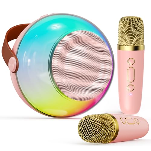 Wireless Bluetooth Karaoke Machine with 2 Microphones