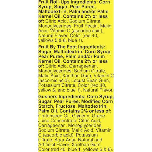 Fruit by the Foot Snack Variety Pack 16 Ct