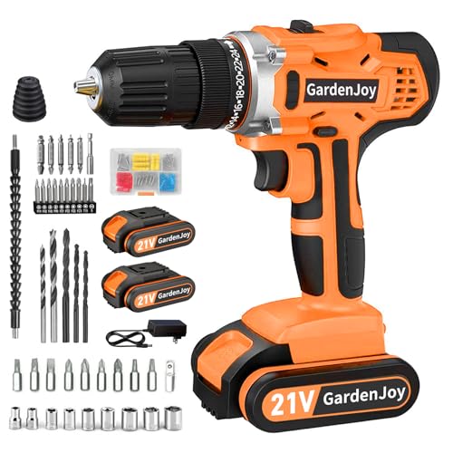 20V Cordless Drill Driver Kit with 2 Batteries