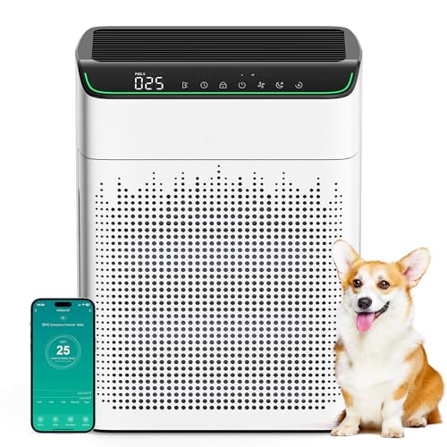 Air Purifier With WiFi And HEPA Filters For Large Room Up To 1690