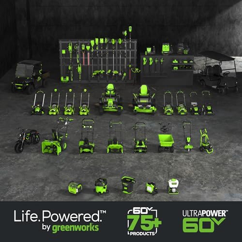 Greenworks 60V Cordless Trimmer & Blower Combo