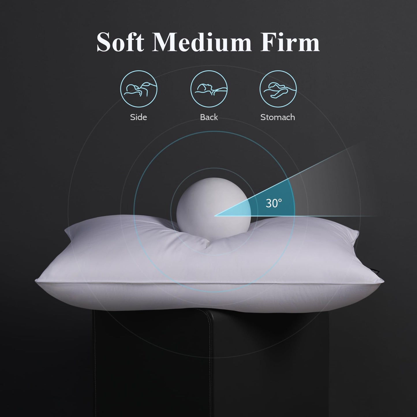 2 Pack Luxury Down Pillows for Sleeping