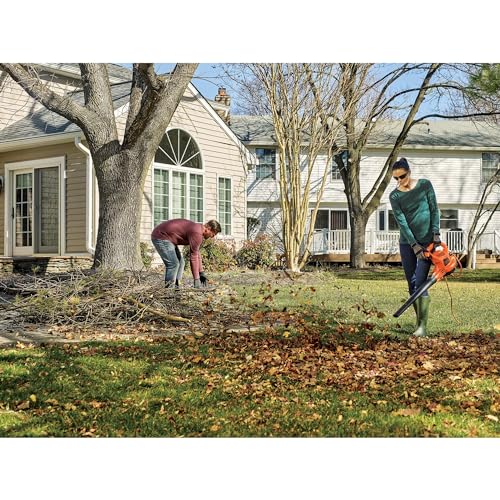 BLACK+DECKER 3-in-1 Leaf Blower Vacuum Mulcher