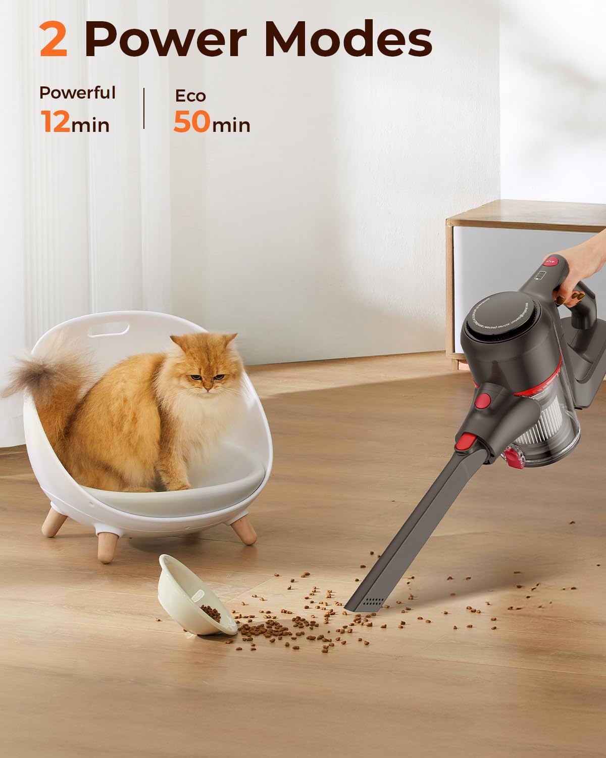 Cordless Vacuum Cleaner with Charging Dock & Battery