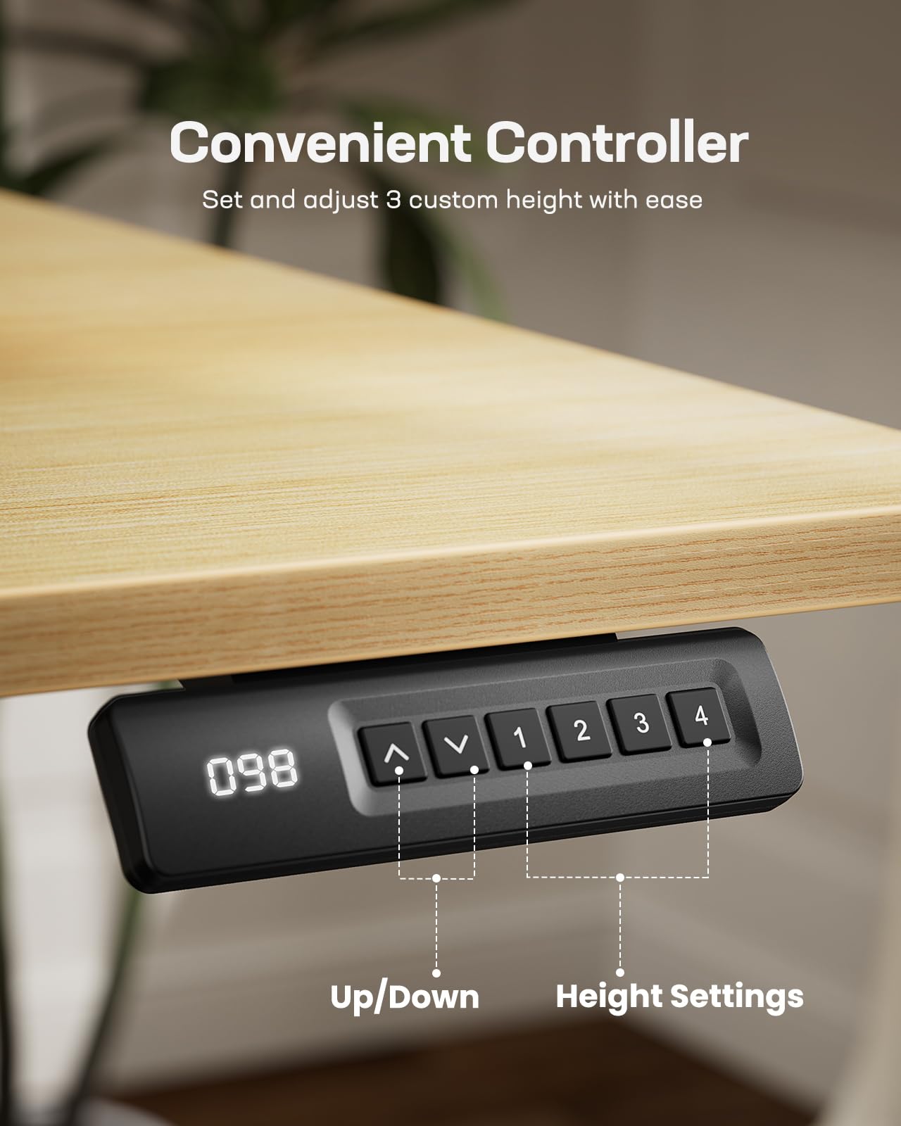 Marsail Electric Standing Desk with LED Lighting
