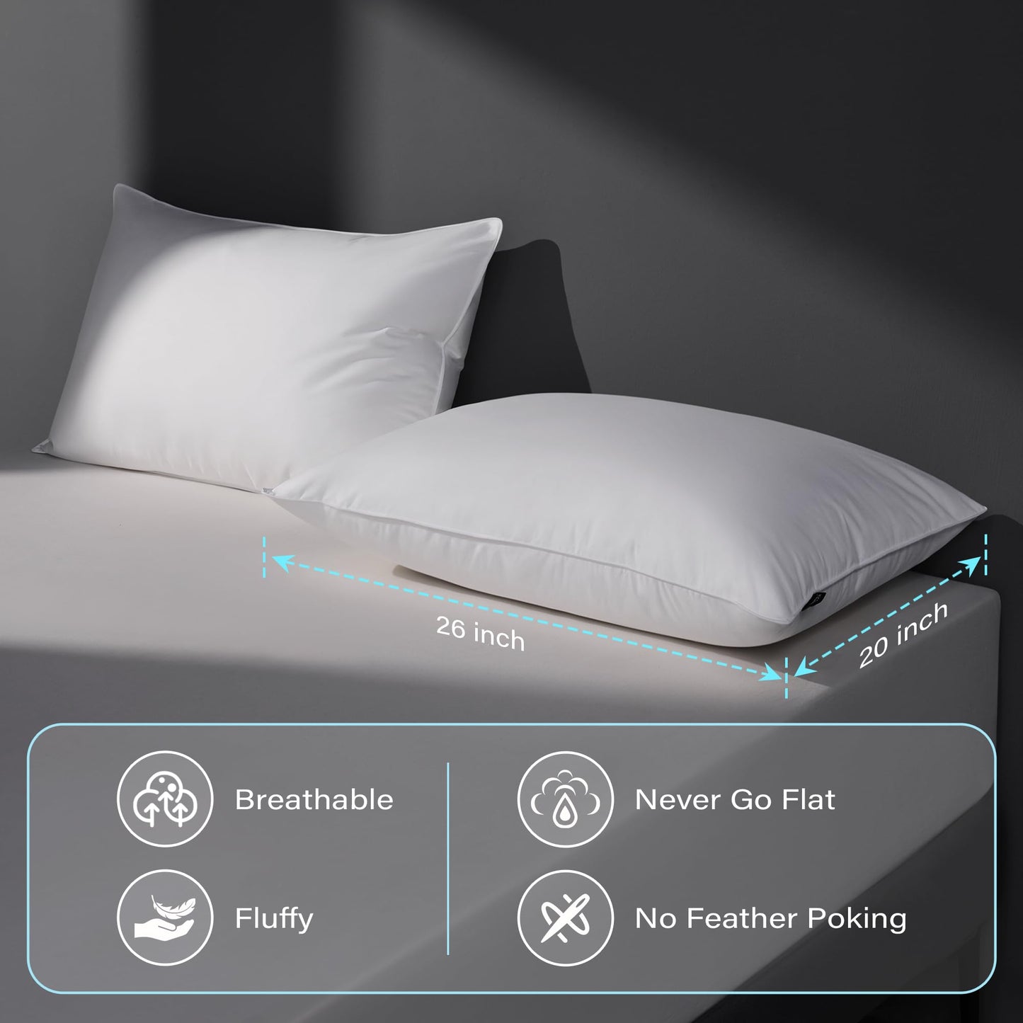2 Pack Luxury Down Pillows for Sleeping