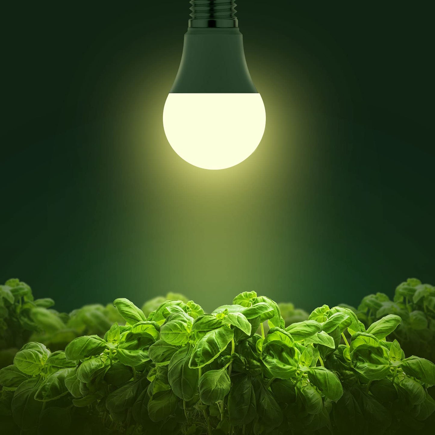 Briignite Full Spectrum LED Grow Light Bulbs