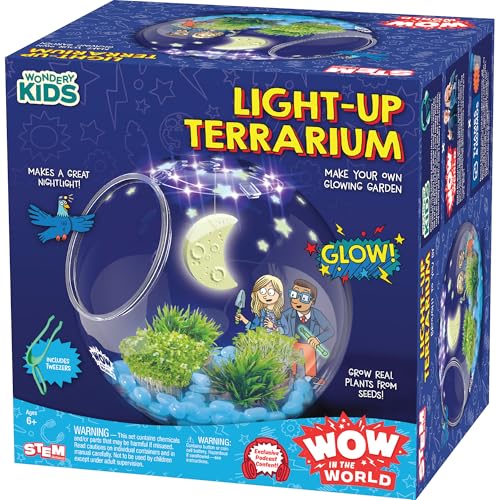 Light-Up Terrarium STEM Kit for Kids, Grow & Decorate