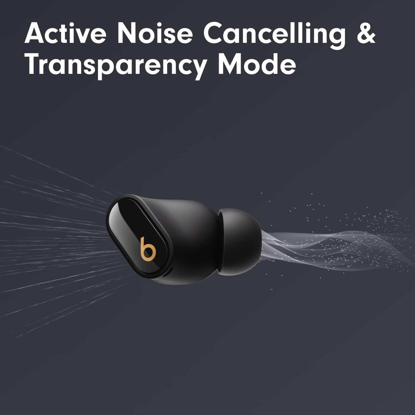 Beats Studio Buds True Wireless Noise Cancelling Earbuds