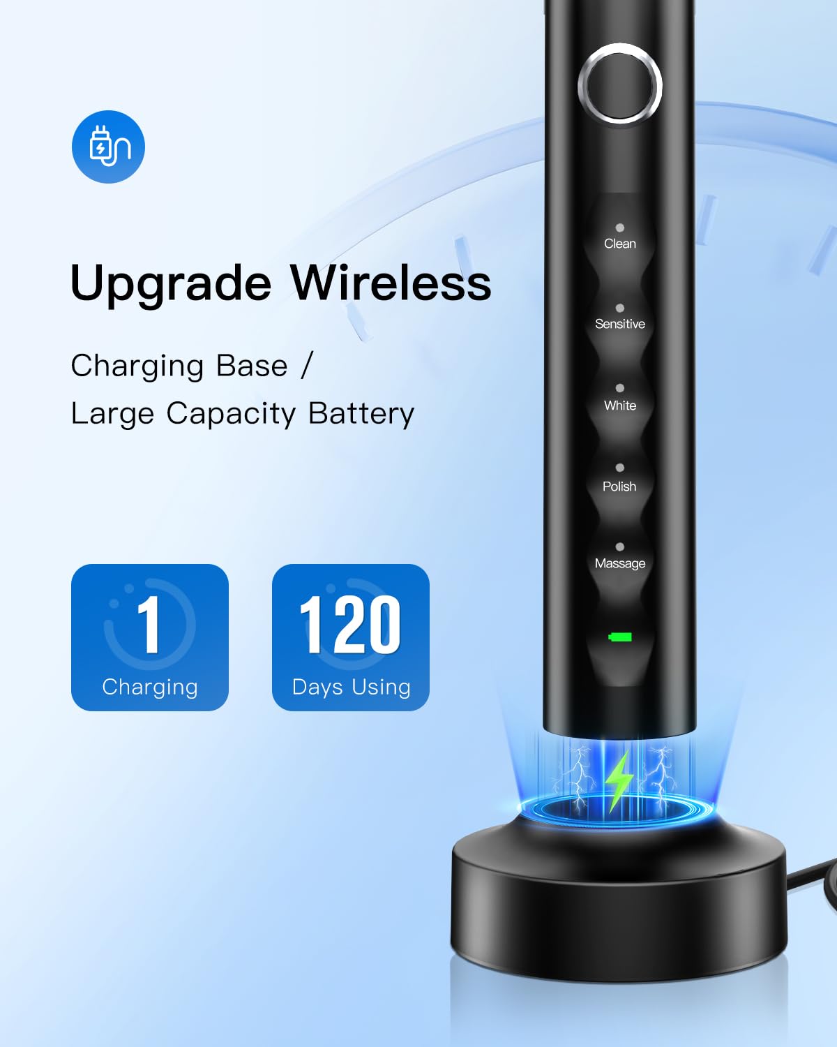 Electric Toothbrush with 8 Heads and Travel Case