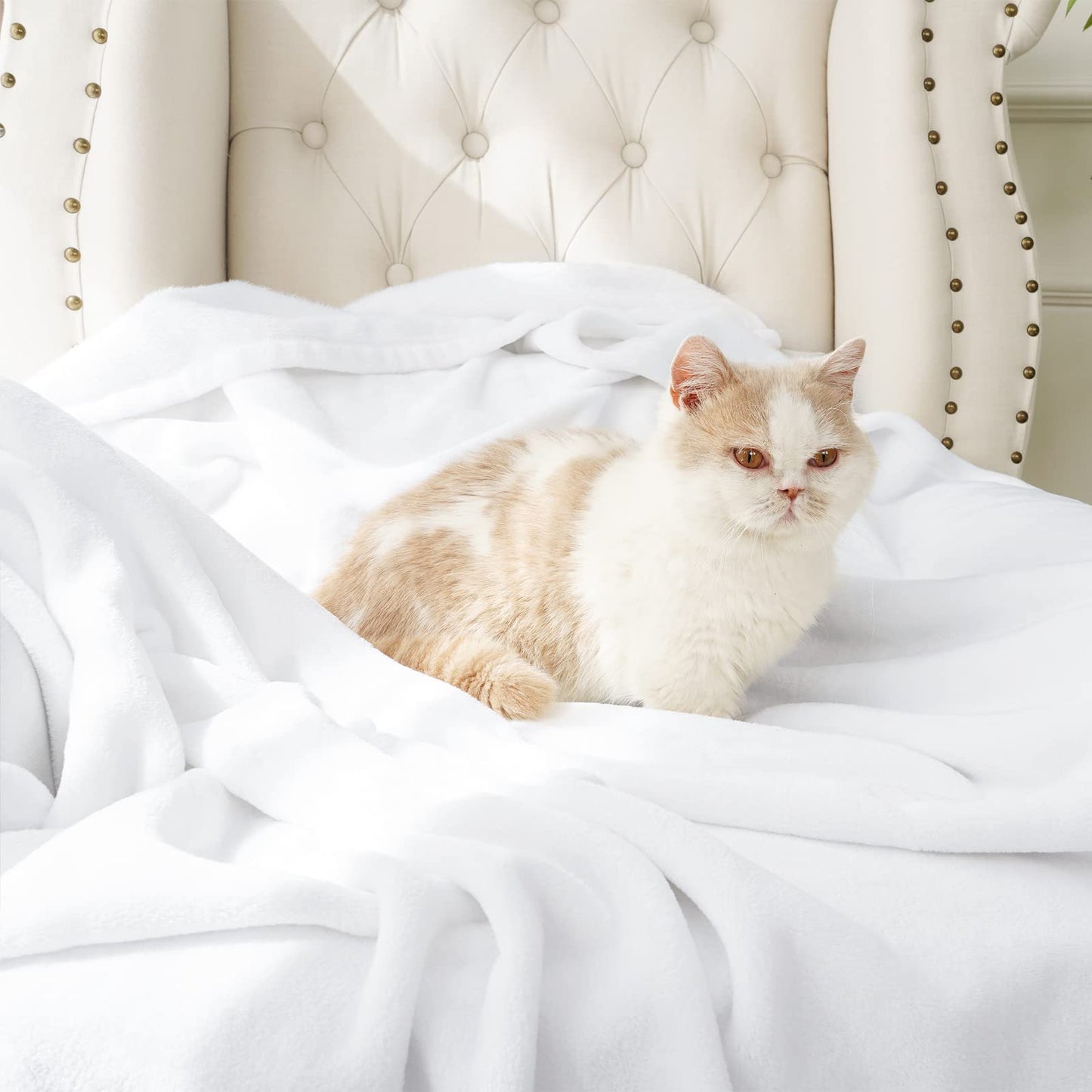 David's Home Fleece Throw Blanket,Ultra Soft More Durable Lightweight Velvety Bed Blanket,Lint-Free& No Pilling,300GSM All Season Use Luxury Plush Cozy Blanket with Wider Stitched Border,50"x60",White