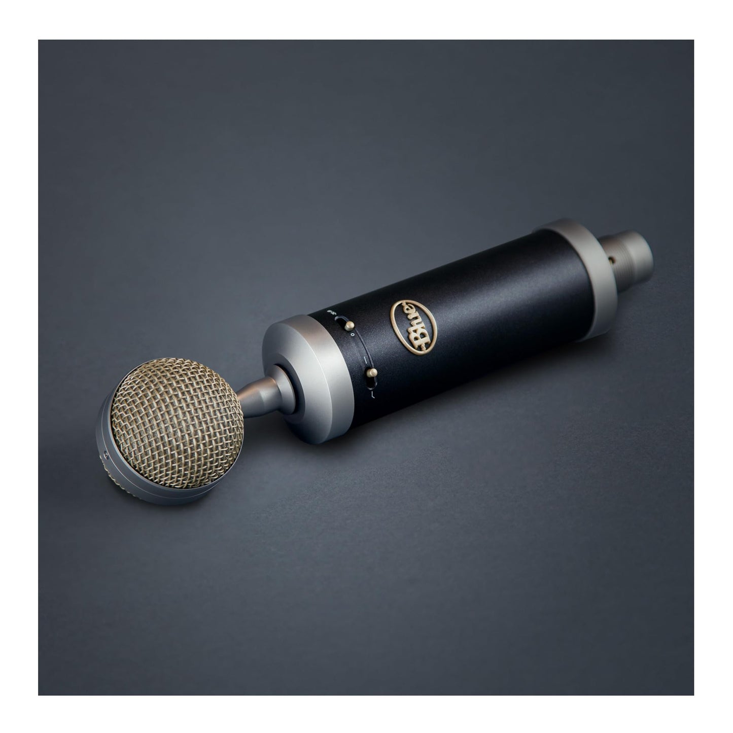 Blue Microphone Baby Bottle XLRCardioid Condenser Microphone for Recording, Streaming, Podcasting, Gaming, Mic with Large Diaphragm Cardioid Capsule, Shockmount & Protective Case