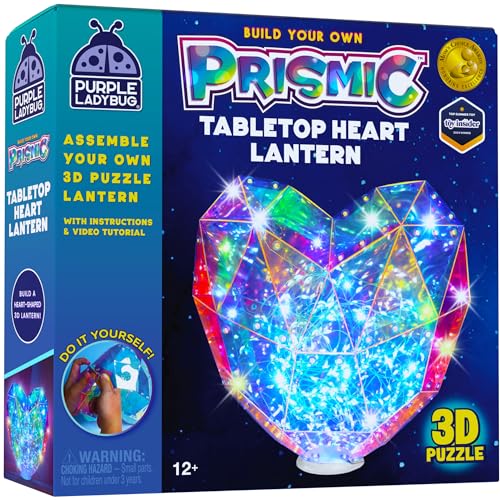 PURPLE LADYBUG 3D Heart DIY Table Light Craft