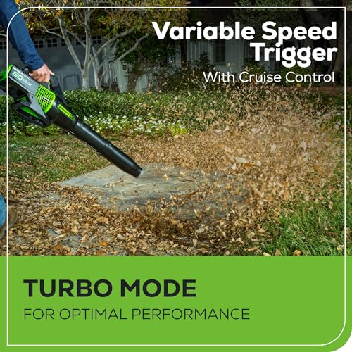 Greenworks 60V Cordless Trimmer & Blower Combo