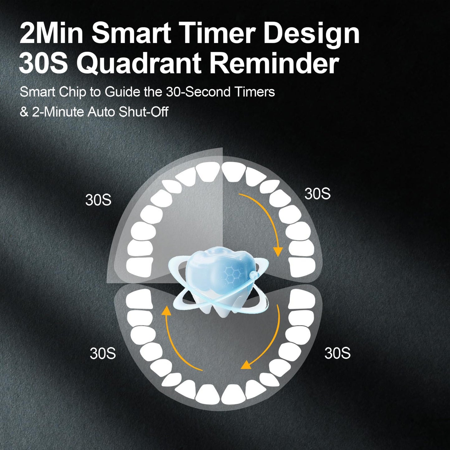 Electric Toothbrush with 6 Brush Heads and Timer