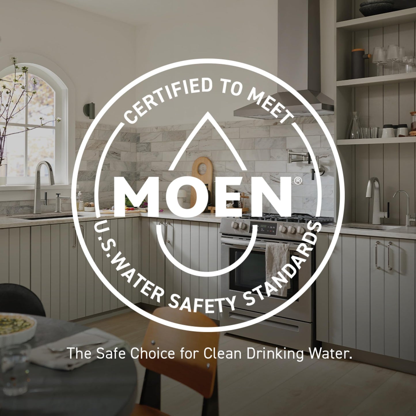 Moen High Arc Kitchen Faucet with Sprayer & Soap