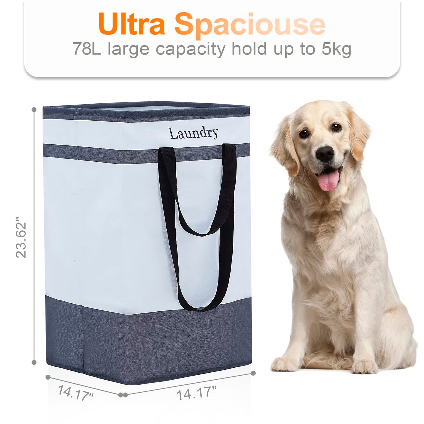 2 Pack Laundry Baskets with Carry Handles