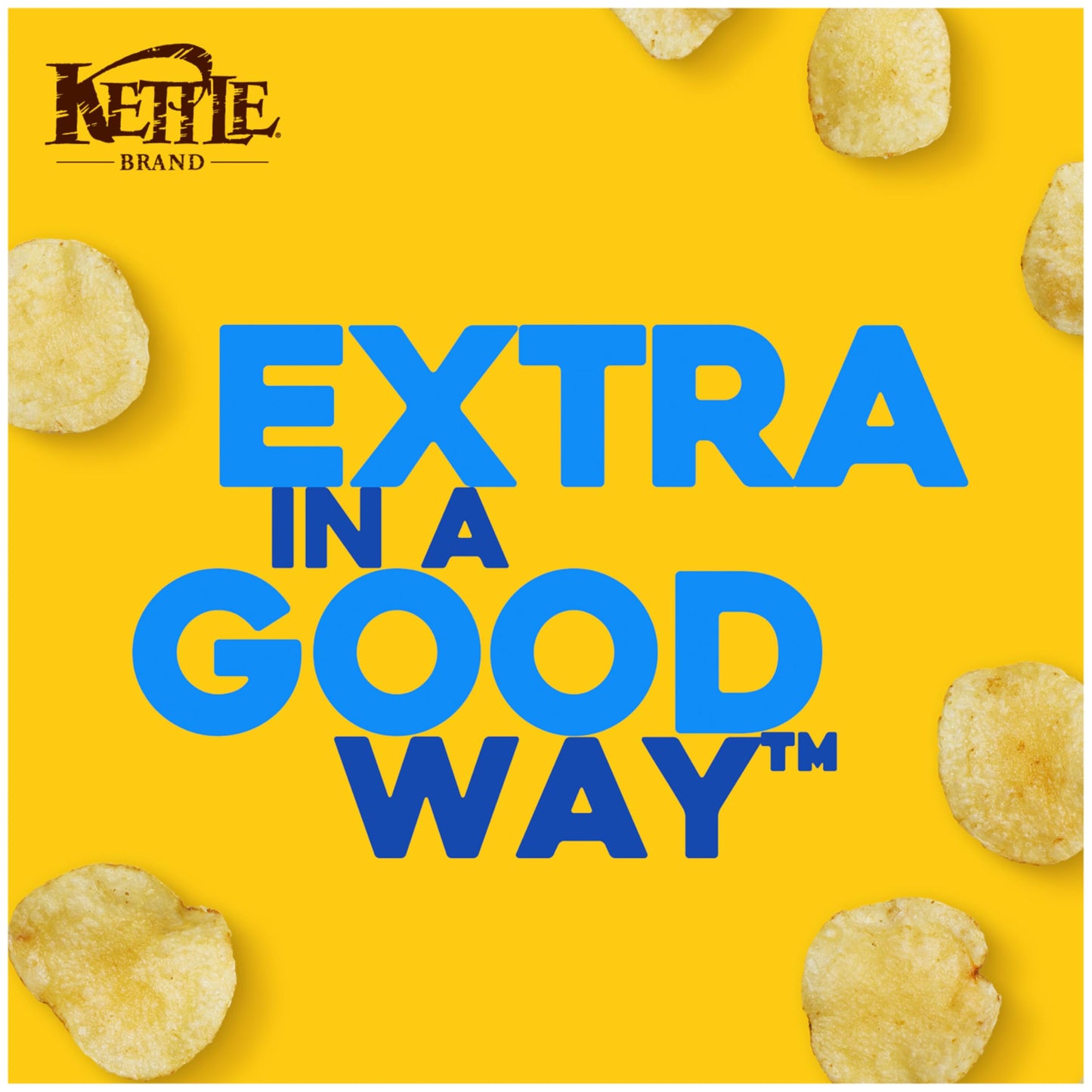 Honey Dijon Kettle Brand Potato Chips 7.5 Oz