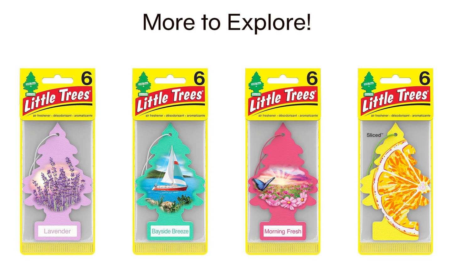 LITTLE TREES Summer Linen Car Air Fresheners - 24 Pack