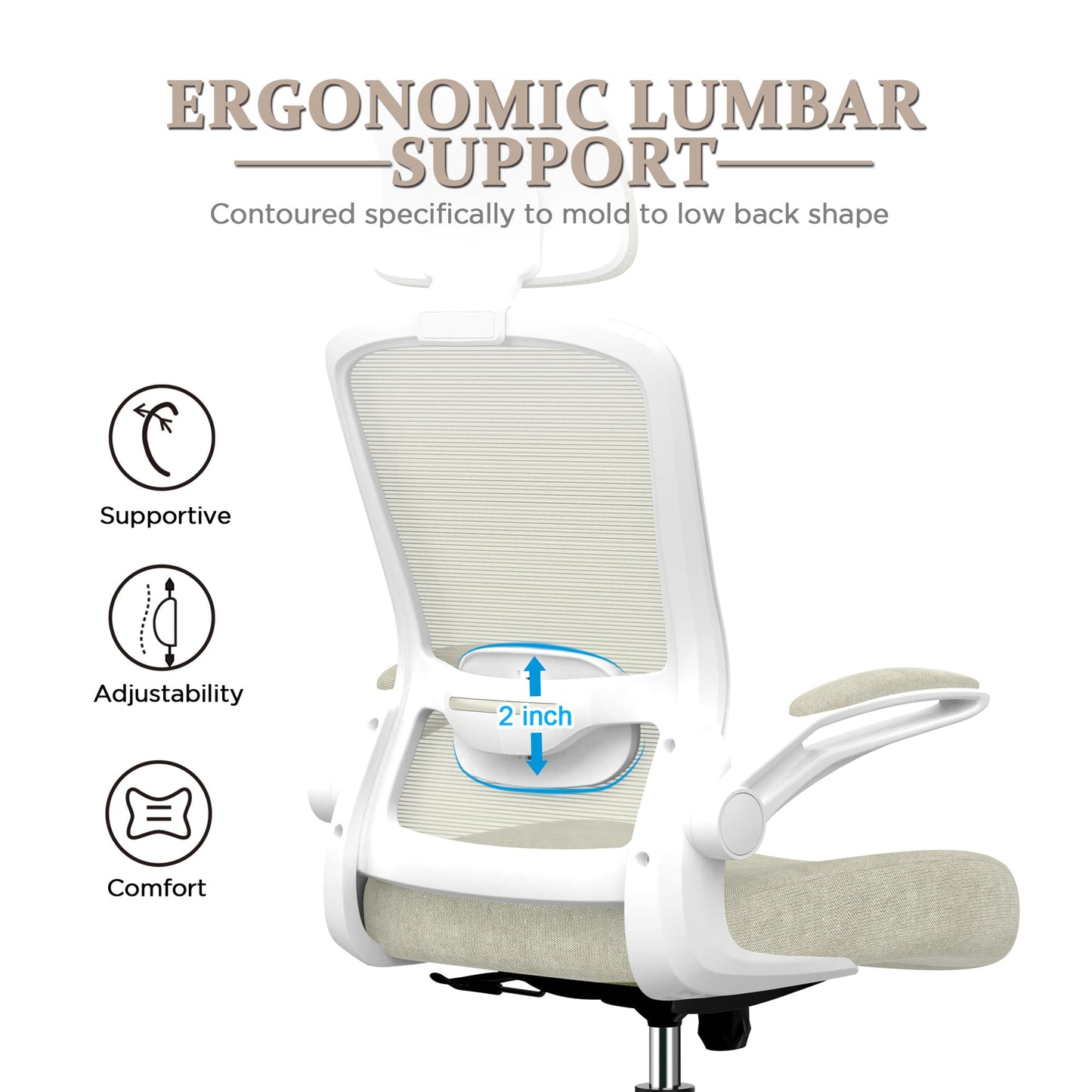 Ergonomic High Back Desk Chair with Lumbar Support