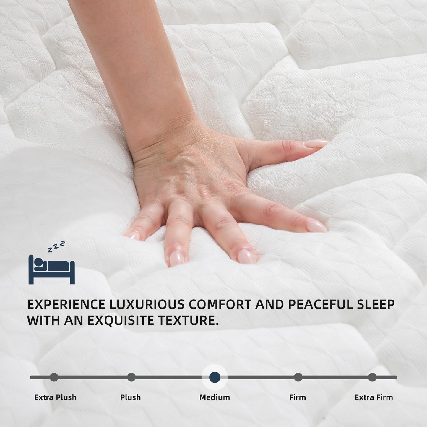 10 Inch Hybrid Full Mattress by MOLBIUS