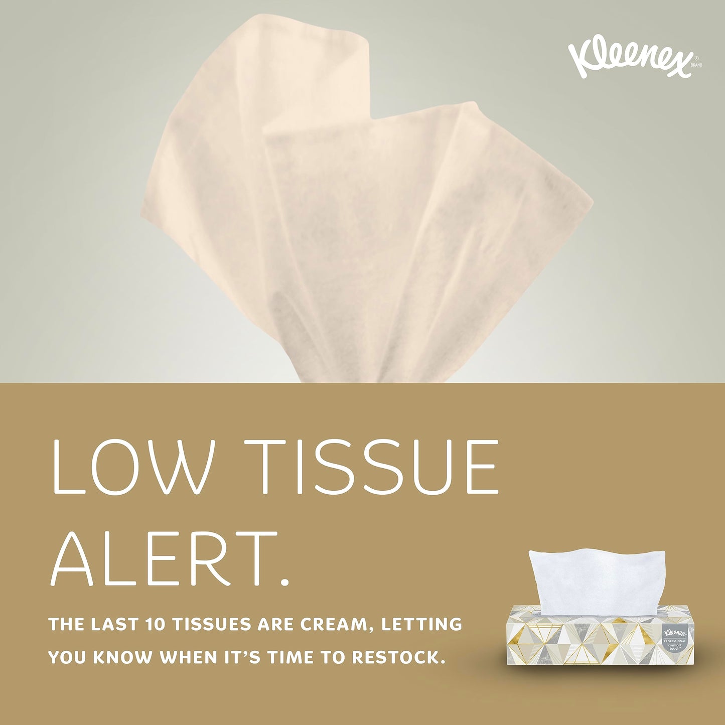Kleenex Professional 2-Ply Facial Tissue Bulk Box