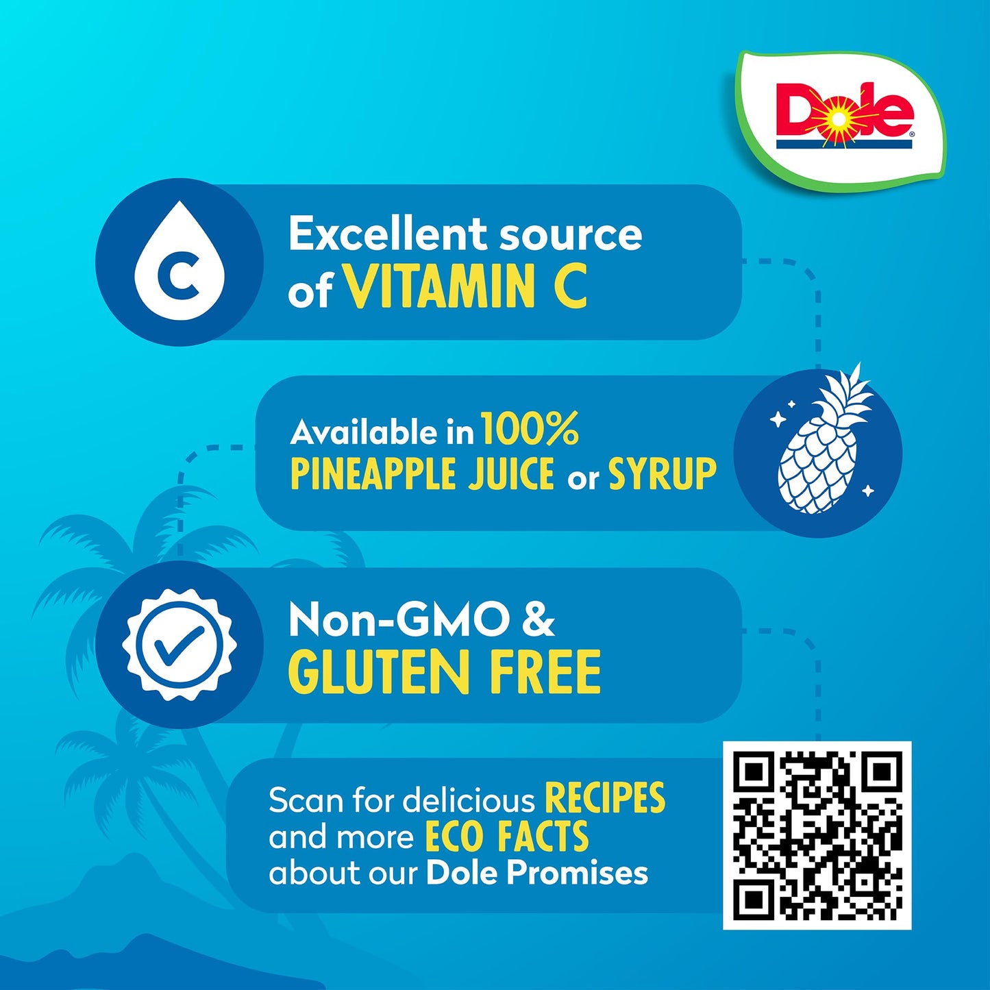 Dole Pineapple Slices in Heavy Syrup - 12 Pack