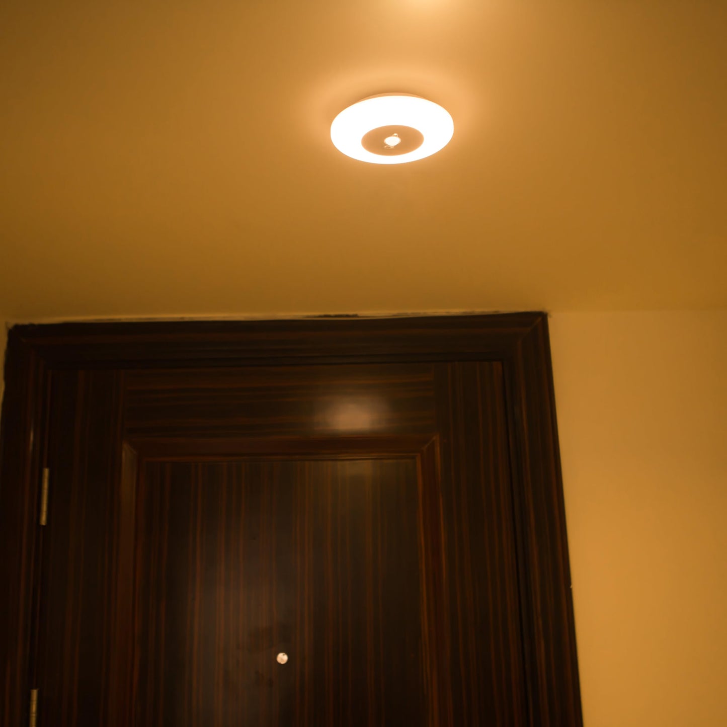 Motion Sensor LED Night Light for Home