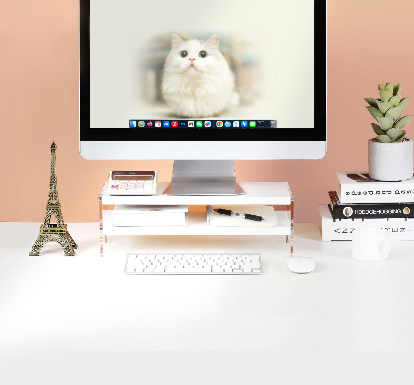 VONDETYR Acrylic Monitor Stand Riser with Storage, Desk Organizer Desktop Printer Laptop Storage Shelf(White)