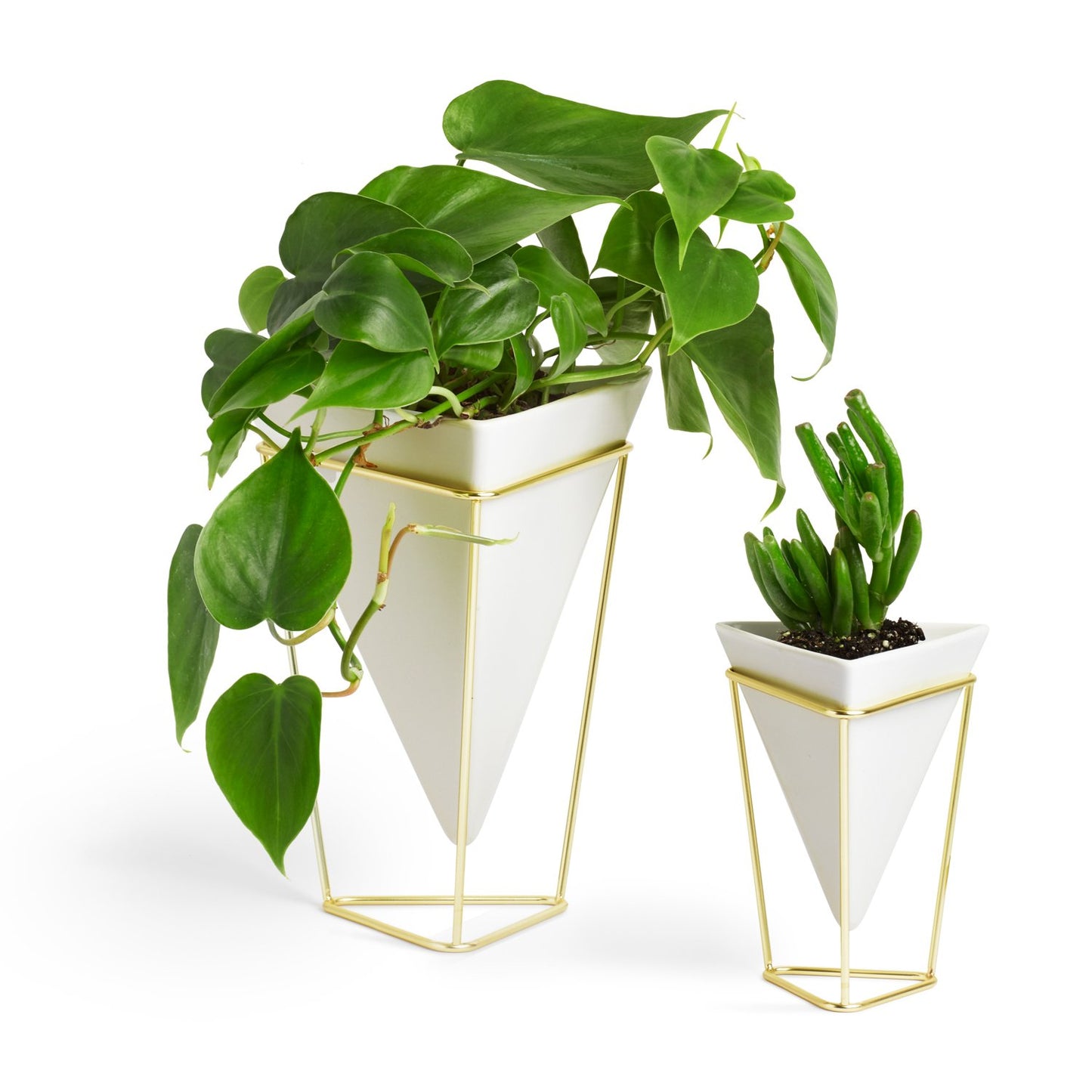 Umbra - 1004372-524 Trigg Desktop Planter Vase & Geometric Container-for Succulent, Air, Mini Cactus, Faux Plants and More, Desk, White/Brass