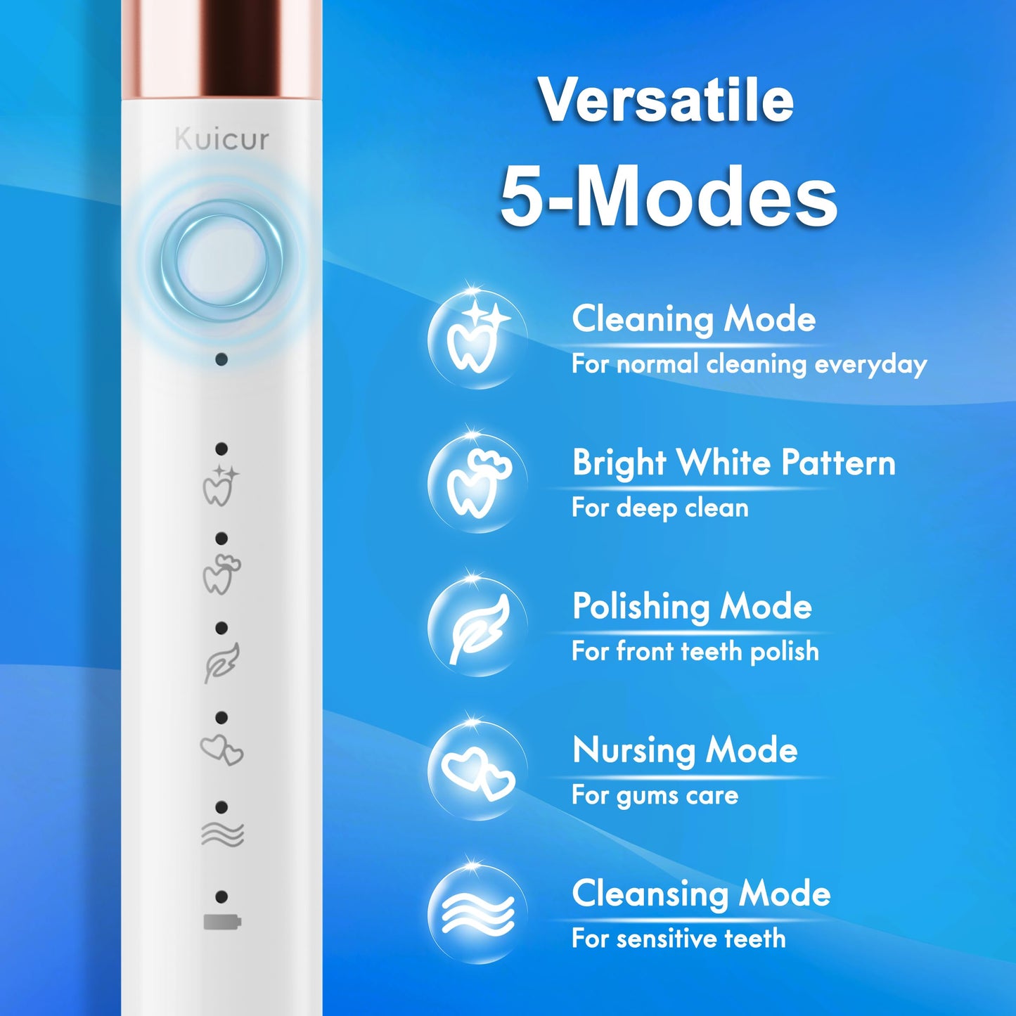 Electric Toothbrush with 10 Brush Heads & Travel Case