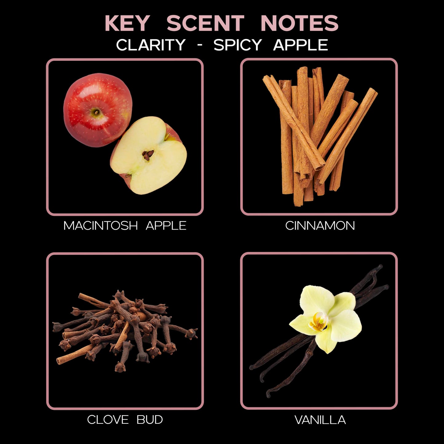 Spicy Apple Cinnamon Reed Diffuser Set