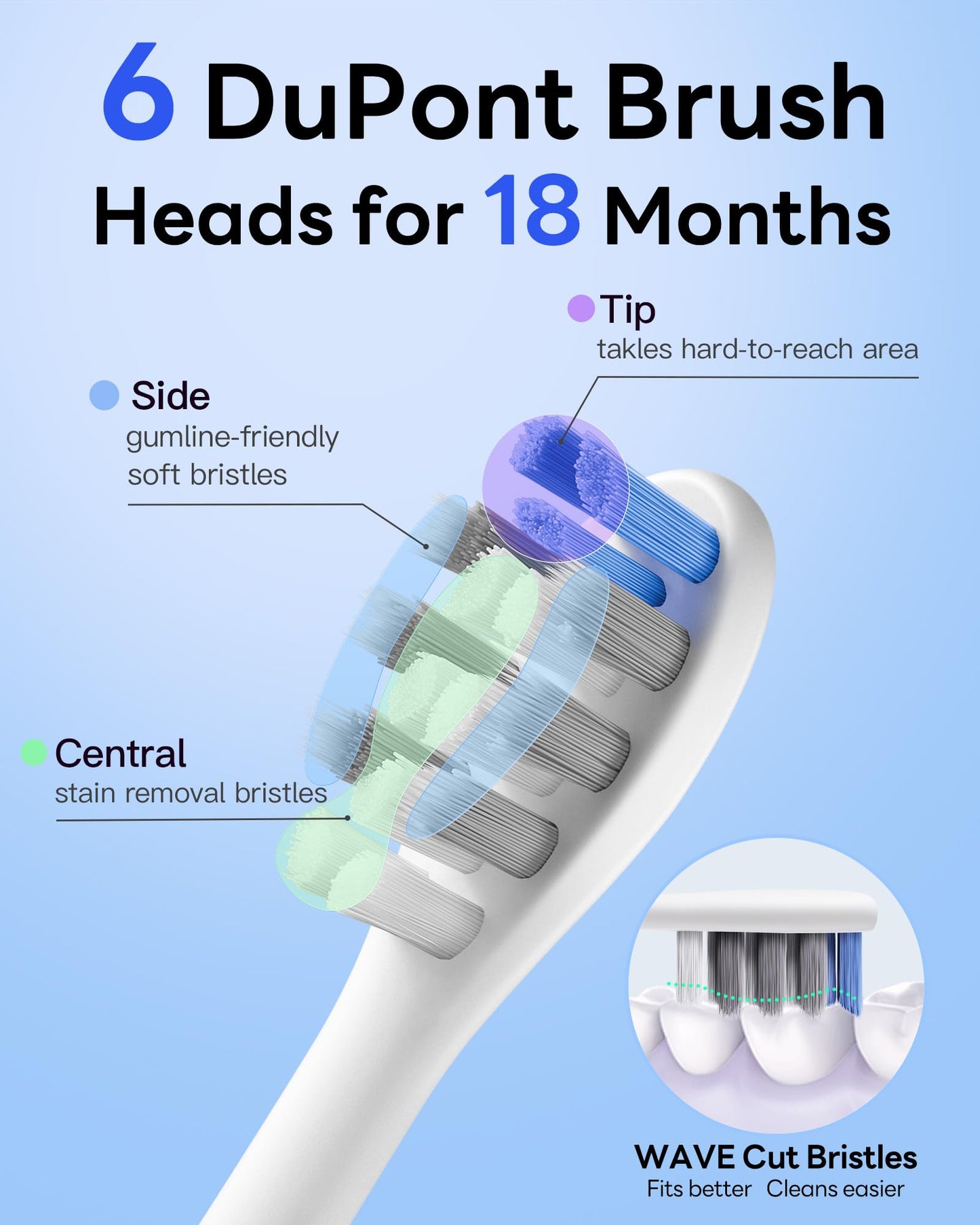 40,000 VPM Sonic Toothbrush by SAKYPRORAL